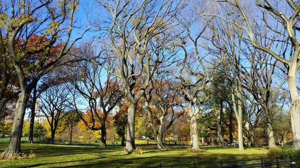 New York Central Park im Herbst — Stockfoto