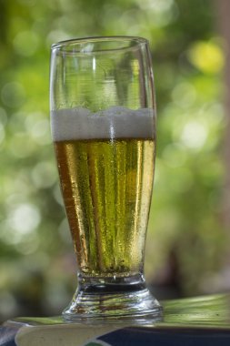 Masada bir bardak bira.