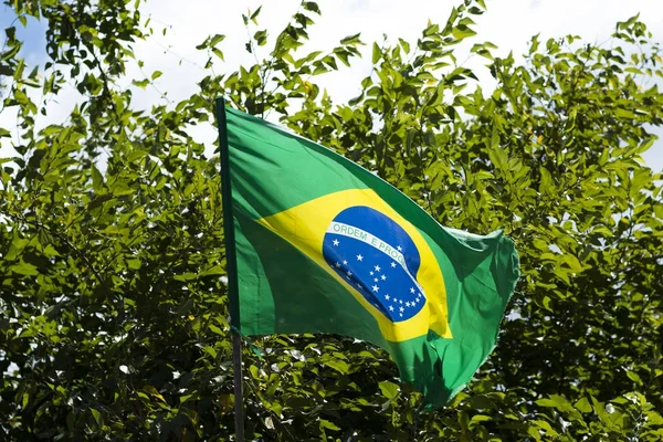 Bandeira Brasil Vento — Fotografia de Stock