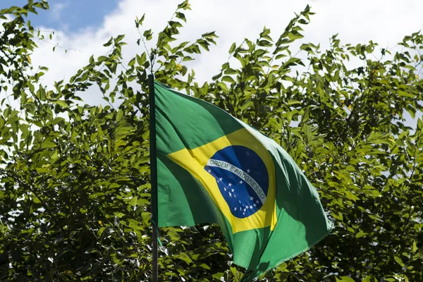 Bandeira Brasil Vento — Fotografia de Stock