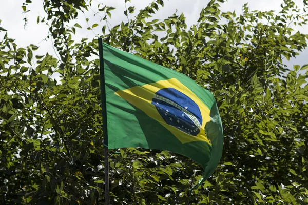 Bandeira Brasil Vento — Fotografia de Stock