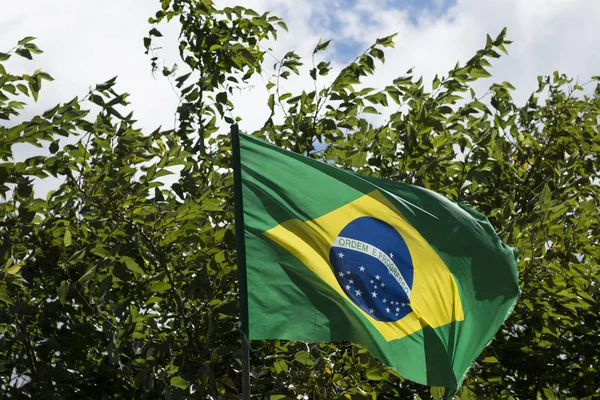 Vlag Van Brazilië Wind — Stockfoto