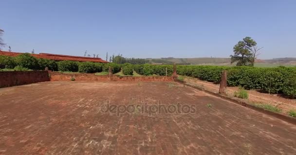 Pequenas Galinhas Fazenda Café Interior Brasil — Vídeo de Stock