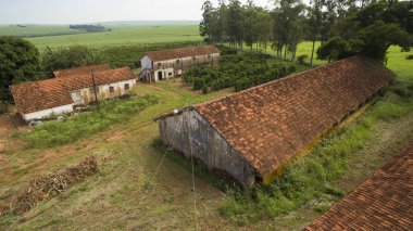 Small farm chickens and coffee in the interior of Brazil  clipart