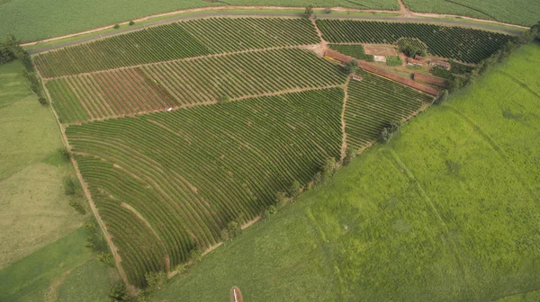 Hühnerstall Und Kaffeeplantage Auf Einem Kleinen Grundstück Einer Kleinen Brasilianischen — Stockfoto