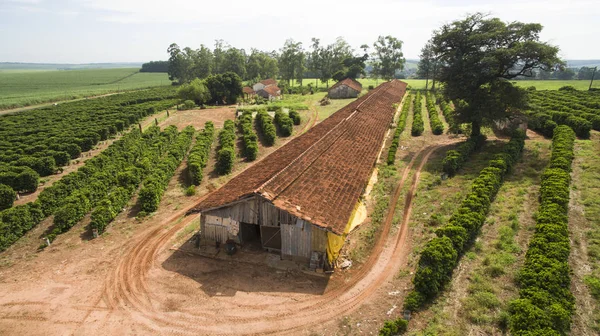 Galpones Pollo Plantación Café Una Pequeña Propiedad Pequeño Pueblo Brasileño — Foto de Stock