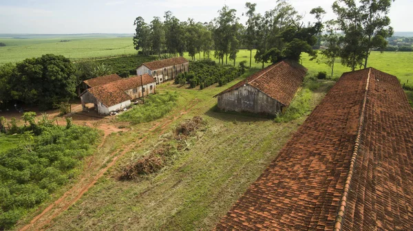 Galpones Pollo Plantación Café Una Pequeña Propiedad Pequeño Pueblo Brasileño — Foto de Stock