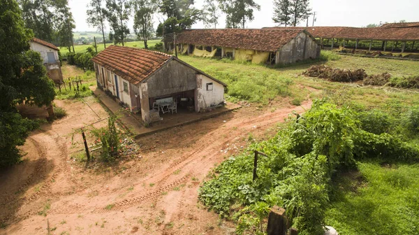 Pollos Granja Café Interior Brasil — Foto de Stock