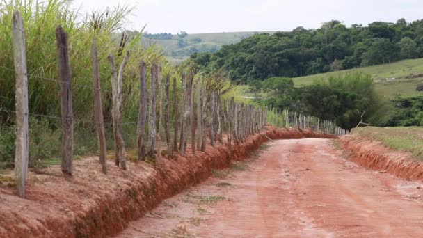 自然道だ木製の柵 サトウキビ畑 — ストック動画