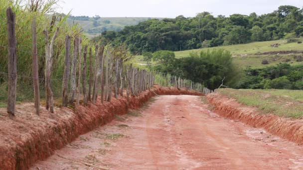 Camino Natural Valla Madera Plantación Caña Azúcar — Vídeo de stock