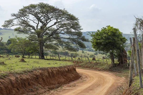 Estrada Suja Caminho País Com Árvore — Fotografia de Stock