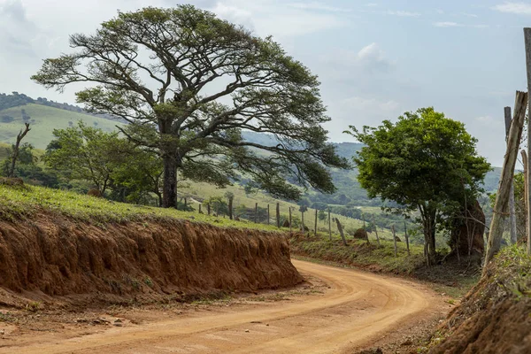 Estrada Suja Caminho País Com Árvore — Fotografia de Stock