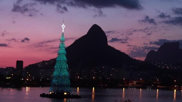 Árbol Navidad Del Mundo Árbol Navidad Río Janeiro Árbol Navidad — Vídeo de stock