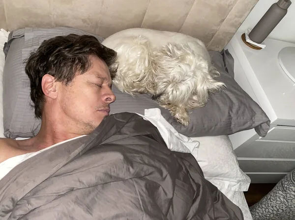 Man sleeping with the dog. Westie sleeping.