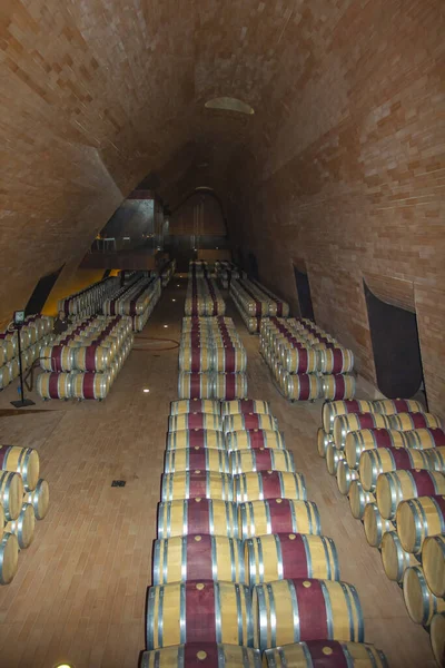 Chianti Region Italy Interior View One Barrel Room Antinori Winery — стокове фото