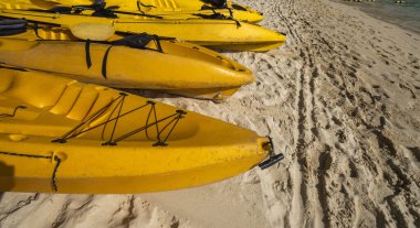 Güneşli bir günde kumlu bir sahilde kürekçilere hazır renkli sarı kanolar. Kumsalda bir sürü sarı tekne var. Aktif turizm ve su eğlencesi.