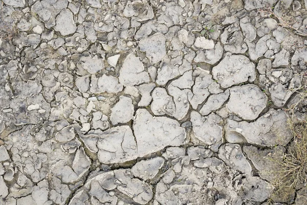 Dry ground as a texture or background. — Stock Photo, Image