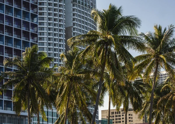 NHA TRANG, VIETNAM - 25 de enero de 2019. Escénica vista de verano de la arquitectura moderna con rascacielos de negocios, hoteles y edificios de apartamentos con palmeras . — Foto de Stock