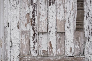 Doğal desenli beyaz ahşap doku. Çatlak ve delikli kirli beton doku..