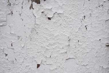 Ahşap duvardaki eski çatlak boya. Kırık boyalı beyaz duvar. Doku veya arkaplan.