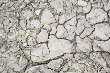 Dry ground as a texture or background.