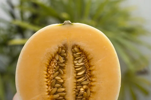 Fresh sweet orange melon with a palm tree on background. Useful and vitamin-rich food. Vegeterian. — ストック写真