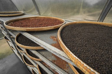 Kurutma odasında kurutulan siyah ve kahverengi, kırmızı biber taneleri ya da karabiber tarlasında sazlık tabaklarında kurutulan kutular. Kırmızı ve siyah biberleri kurutmak. Tarım. Baharatlar.