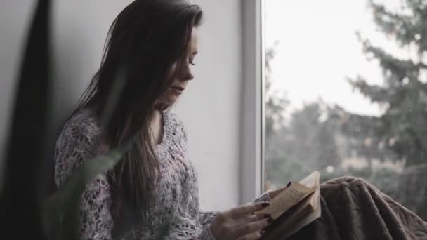 魅力的な若い女性が本を家の窓辺に座って読んでいます。大きな窓、緑の植物. — ストック動画