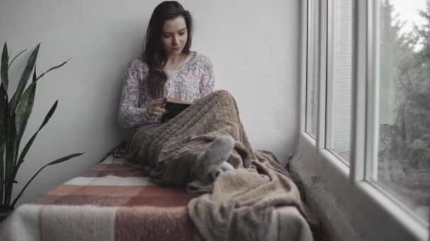 Jovem atraente está lendo livro sentado no peitoril da janela na casa. Janela grande, plantas verdes . — Vídeo de Stock