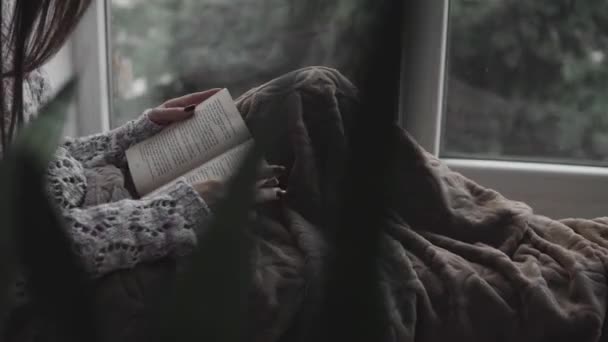 Ελκυστική νεαρή κοπέλα διαβάζει βιβλίο που κάθεται στο περβάζι του παραθύρου στο σπίτι. Μεγάλο παράθυρο, πράσινα φυτά. — Αρχείο Βίντεο