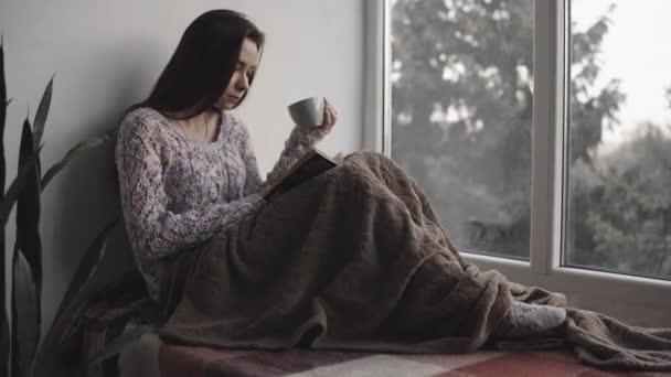 Attraktive junge Frau liest Buch sitzt auf Fensterbank und trinkt einen Tee im Haus. großes Fenster, grüne Pflanzen. — Stockvideo