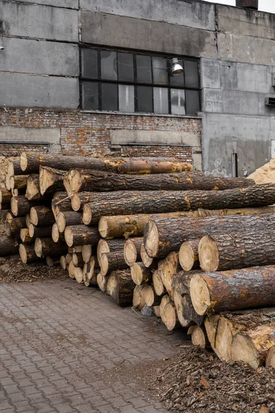 Ein Holzstapel liegt auf einer Waldplattform, einem Sägewerk. Holzbearbeitung im Sägewerk. — Stockfoto