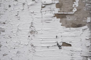 Ahşap duvardaki eski çatlak boya. Kırık boyalı beyaz duvar. Doku veya arkaplan.
