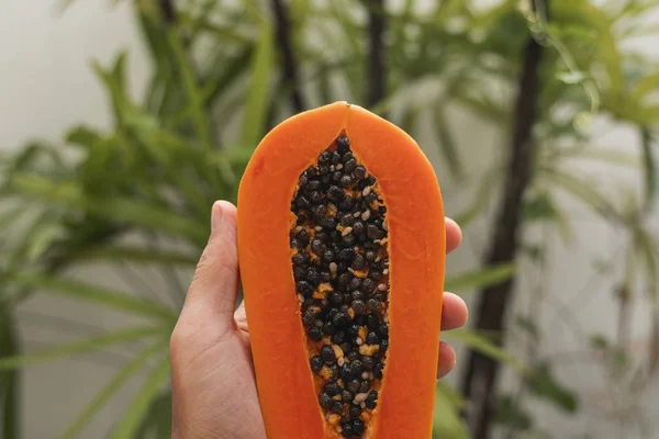 Male hand holding a half of ripe papaya with seeds with a green plants on background. Slices of sweet papaya. Halved papayas. Healthy exotic fruits. Vegetarian food. — ストック写真