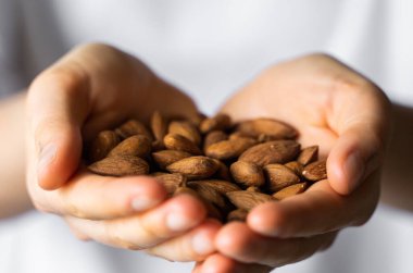 Bir kadının elinde badem. Badem fıstığı sağlıklı bir vejetaryen proteini ve besleyici yemektir. Bir insanın elinde fındık.