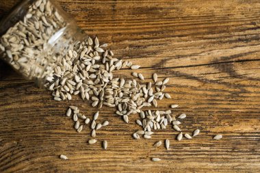 Ayçiçeği tohumları bir kavanozun içindeki ahşap şarap masasına saçılmış. Sağlıklı vejetaryen protein besleyici gıdalar. Kırsal kesimde ayçiçeği tohumu.