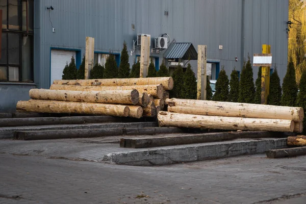 製材所の木の丸太は切削ラインで見る準備ができていた。木材産業。プラットフォーム上にログの山があります。製材所での木材加工. — ストック写真