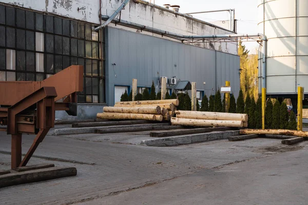 Tronchi di legno su una segheria pronti a segare su una linea di taglio. Industria del legname. Un mucchio di tronchi giacciono su una piattaforma. Lavorazione del legname nella segheria . — Foto Stock