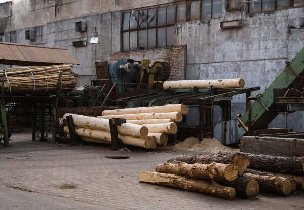 Bark removal from large logs on sawmill. Preparation of the wooden logs to sawing on a cutting line on a saw mill. Lumber industry. A pile of logs lie on a platform. Processing of timber at the