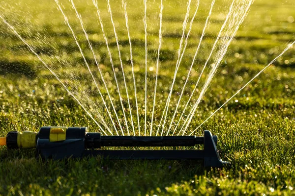Çim püskürtücü yeşil çimlerin üzerine su püskürtüyor. Modern sulama aracı bahçe çimleri. Sulama sistemi. Bahçede sulama tekniği. Çimleri fıskiyeyle suluyorum.. — Stok fotoğraf