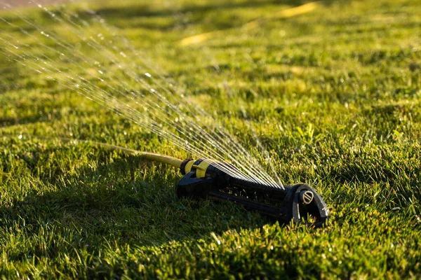 A pázsitszóró vizet permetez a zöld fűre. Modern eszköz öntözés kerti fű. Öntözőrendszer - öntözési technika a kertben. Öntözni a füvet locsolóval. — Stock Fotó