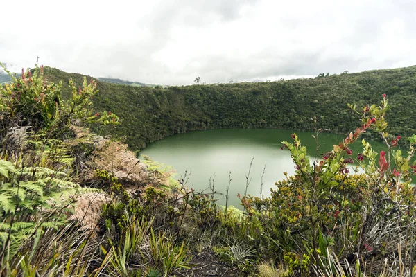 セスキレ クディンマルカ島のグアタヴィタ湖の自然景観 コロンビア — ストック写真