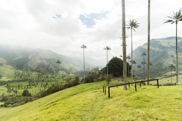 Panoramiczne Widoki Dolinę Cocora Salento Quindio Kolumbia — Zdjęcie stockowe