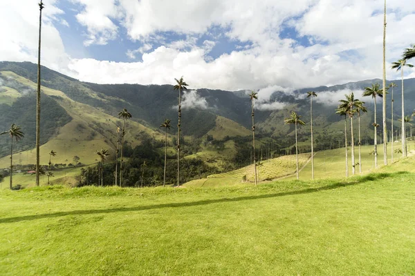 Πανοραμική Θέα Της Κοιλάδας Κοκόρα Στο Salento Quindio Κολομβία — Φωτογραφία Αρχείου