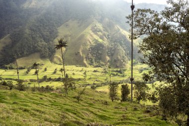 Salento, Quindio, Kolombiya 'daki Cocora Vadisi' nin Panoramik Görüntüleri.