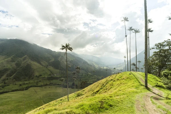 Panoramiczne Widoki Dolinę Cocora Salento Quindio Kolumbia — Zdjęcie stockowe