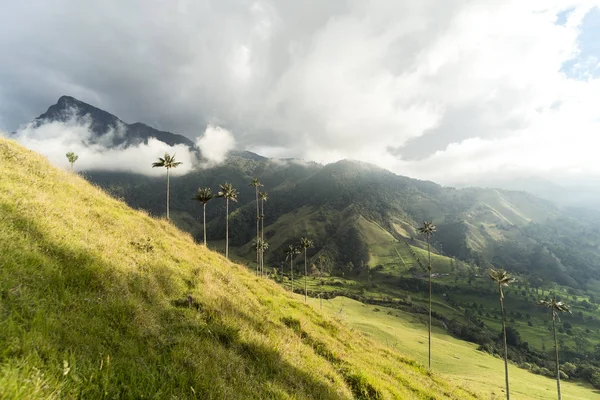 Πανοραμική Θέα Της Κοιλάδας Κοκόρα Στο Salento Quindio Κολομβία — Φωτογραφία Αρχείου