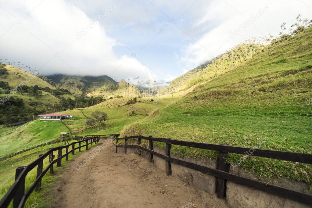 Panoramic Views of The Cocora Valley in Salento, Quindio, Colombia.