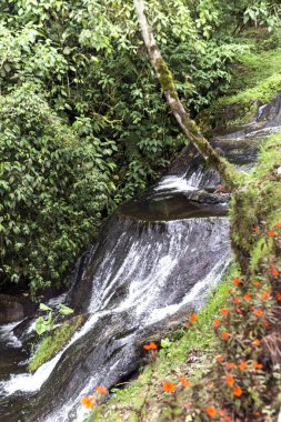 Natural Landscapes of Santa Rosa de Cabal in Risaralda, Colombia. clipart