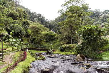 Risaralda, Kolombiya 'daki Santa Rosa de Cabal Doğal Manzaraları.